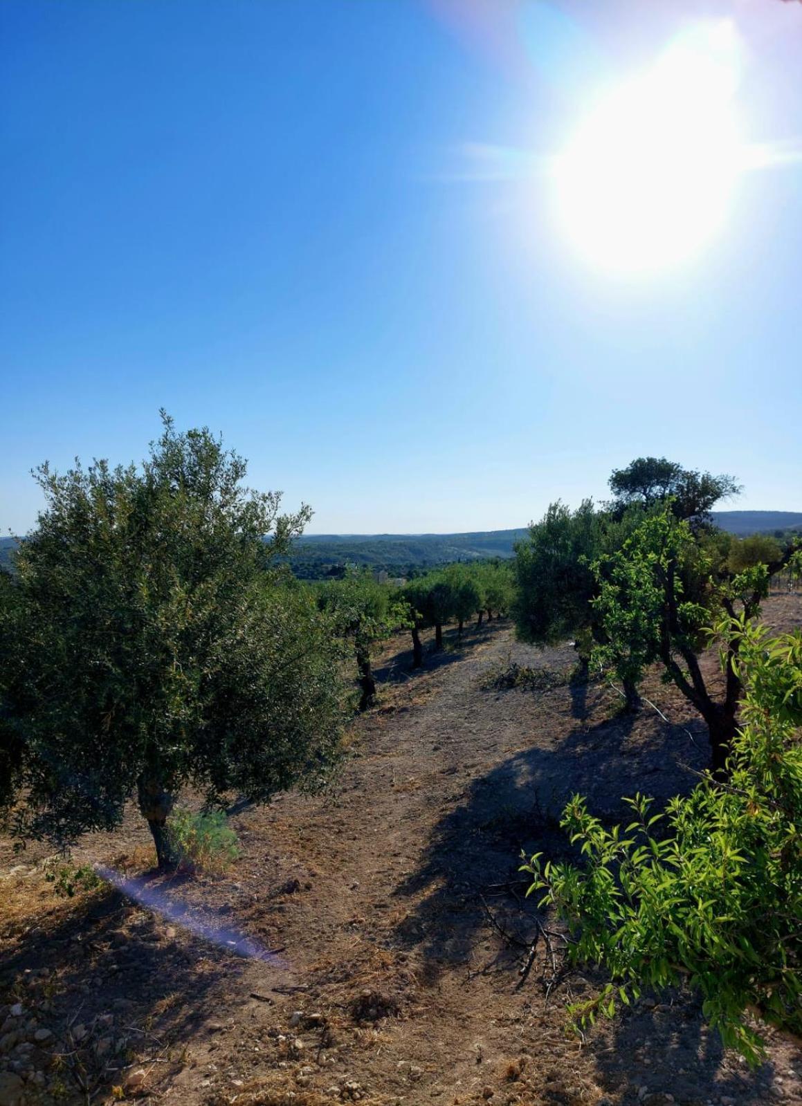 "Bnb Noto" - Charming Tiny House Buitenkant foto