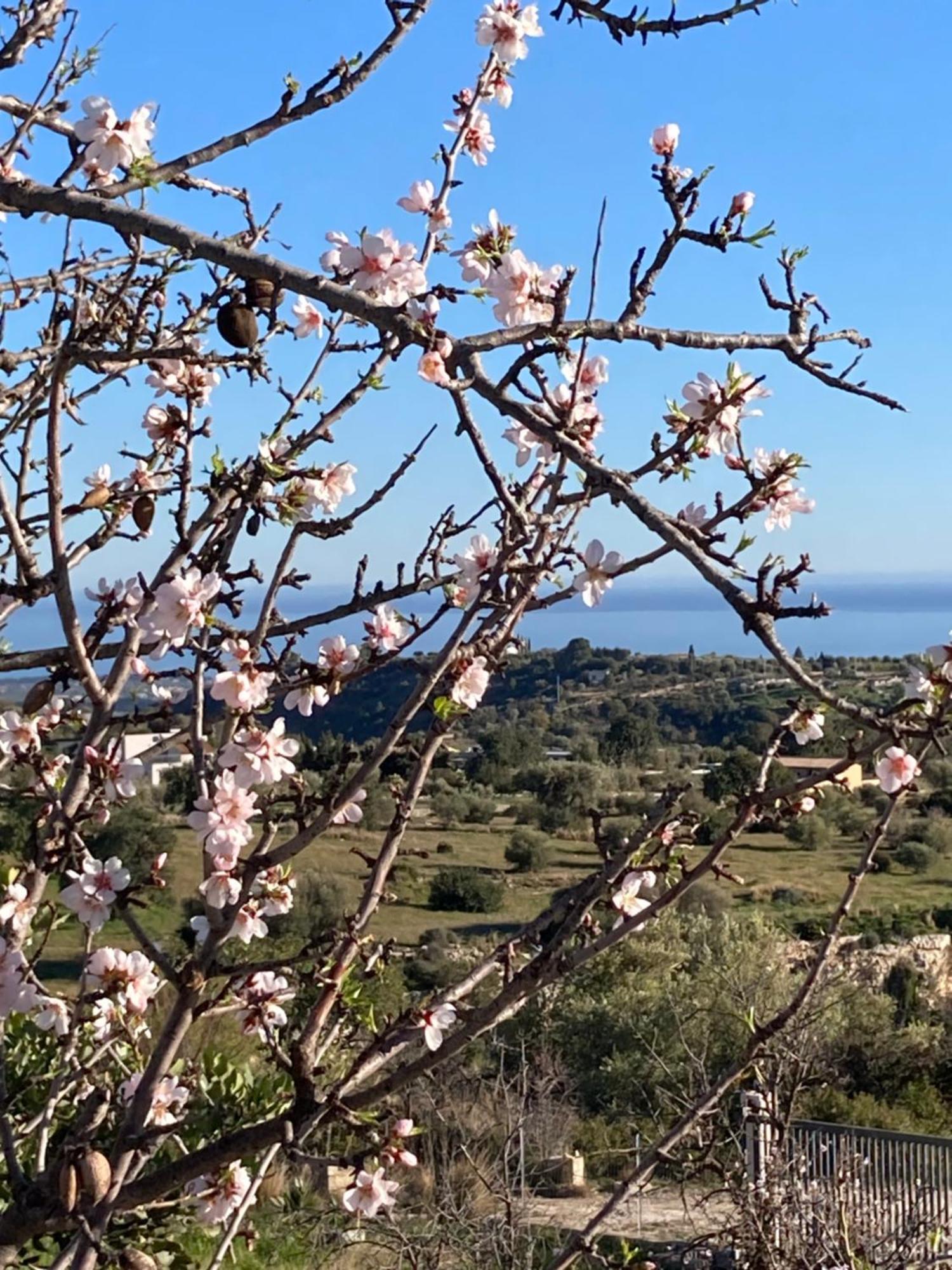 "Bnb Noto" - Charming Tiny House Buitenkant foto